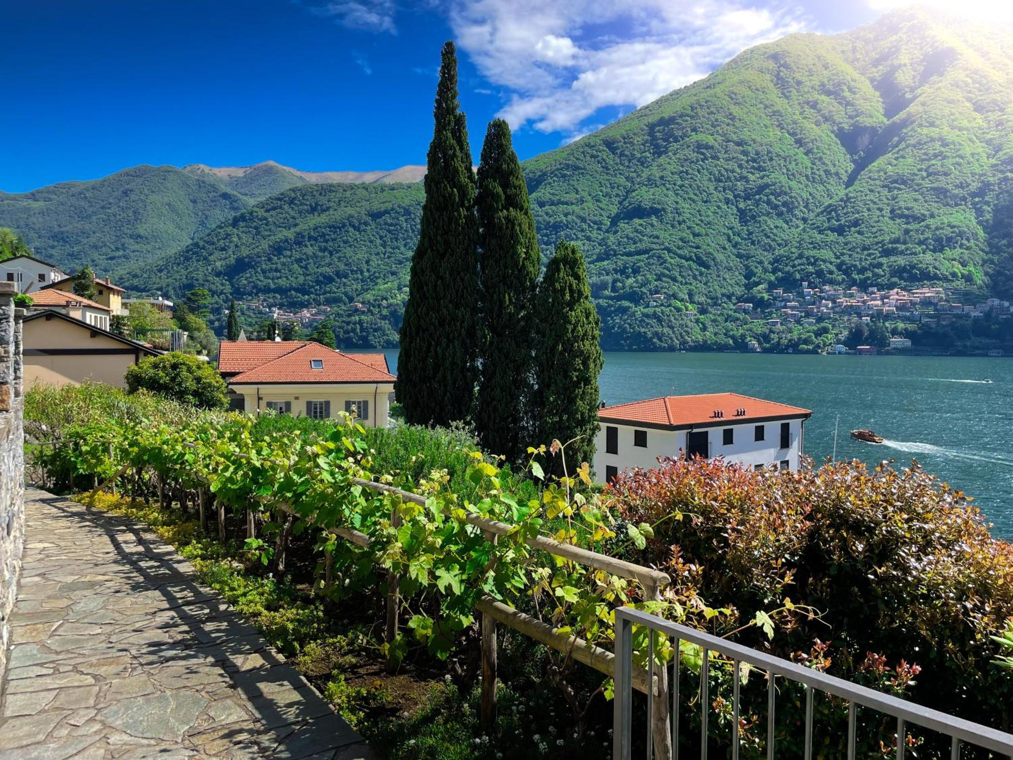 Villa Luminosa Laglio - Private Parking, Garden Экстерьер фото